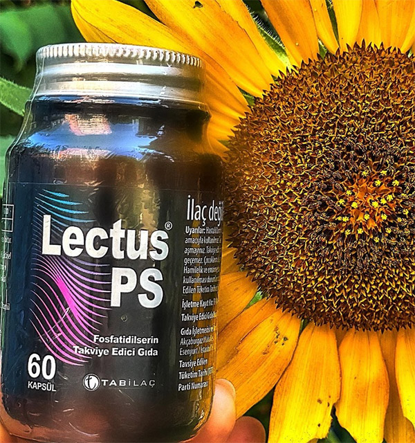 Лектус (Фосфотидилсерин)